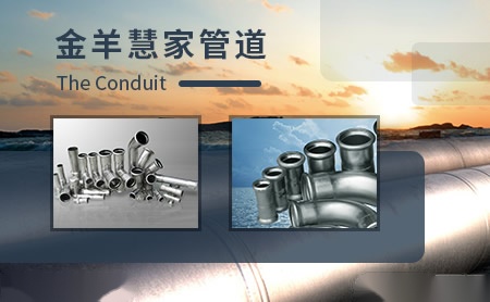 金羊JINYANG 展示图