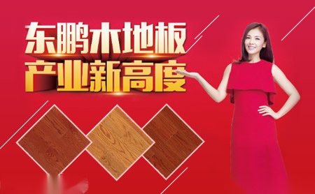 东鹏木地板DONGPENG 展示图