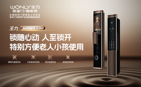王力安防 展示图