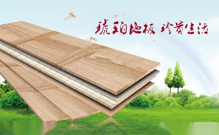 琥珀HUPO 展示图