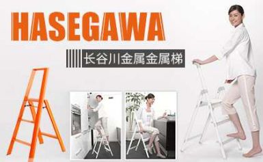 Hasegawa长谷川 展示图