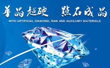 华晶 展示图