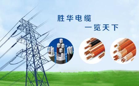 胜华电缆 展示图
