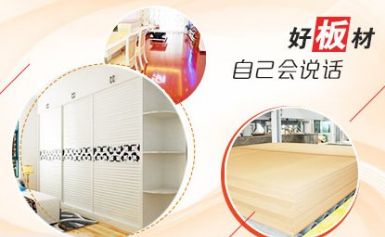 永林蓝豹YONGAN 展示图