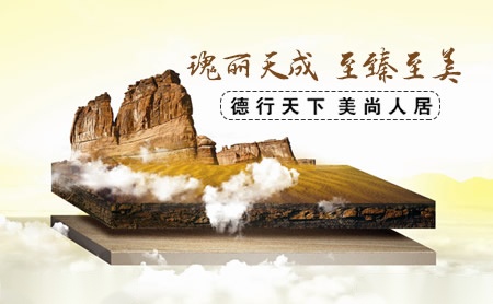 德美DOMY 展示图