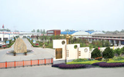 星高 展示图