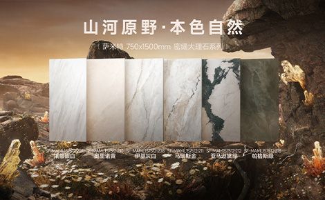 萨米特SUMMIT 展示图