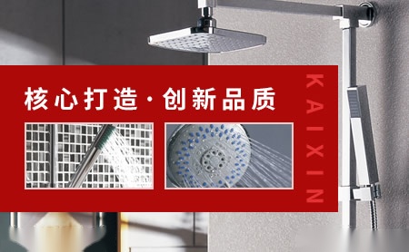 凯馨KAIXIN 展示图
