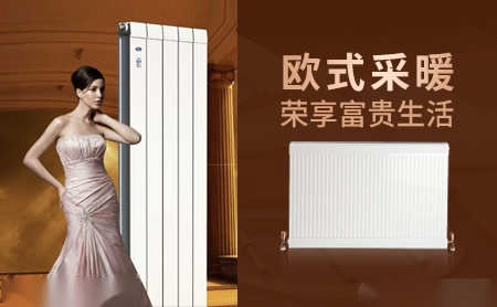 富斯顿FSD 展示图