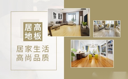 居高地板hilife 展示图