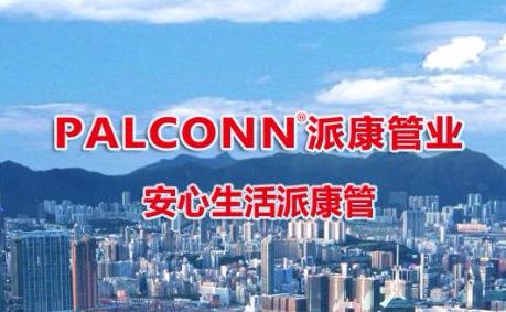 派康 展示图