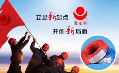 金龙羽 展示图