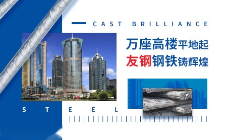 友钢YG 展示图