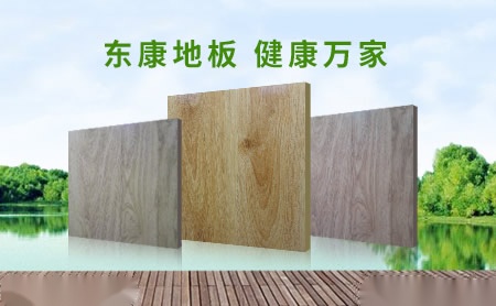 东康地板DKang 展示图