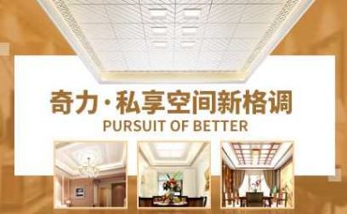 奇力吊顶QILI 展示图