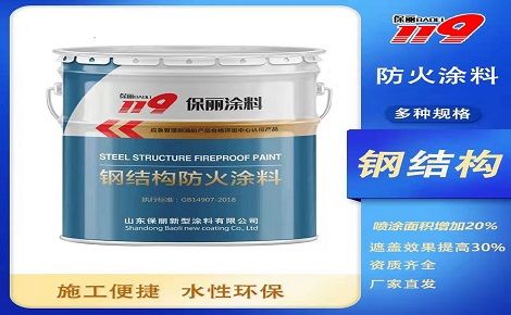 保丽119 展示图