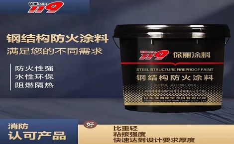 保丽119 展示图
