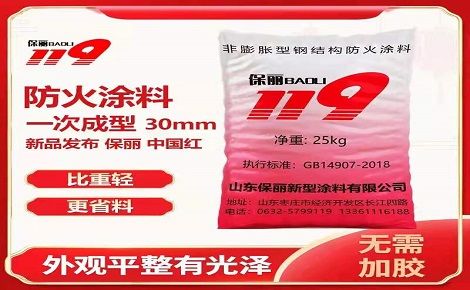 保丽119 展示图