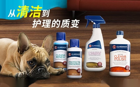 Guardsman 展示图