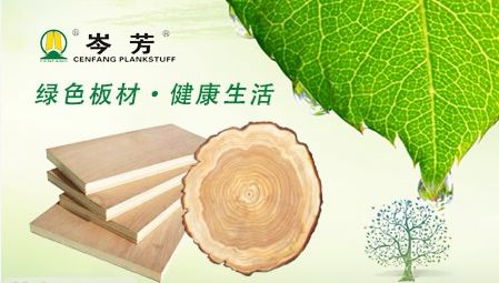 岑芳 展示图