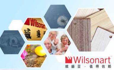 Wilsonaart威盛亚 展示图