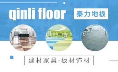 秦力 展示图