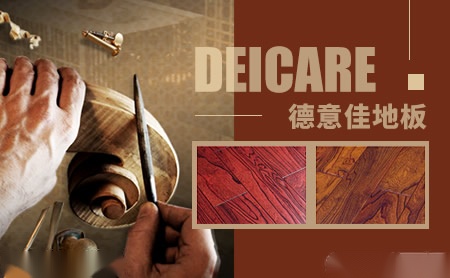 德意佳Deicare 展示图