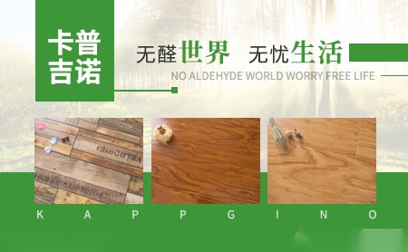 卡普吉诺KappGino 展示图