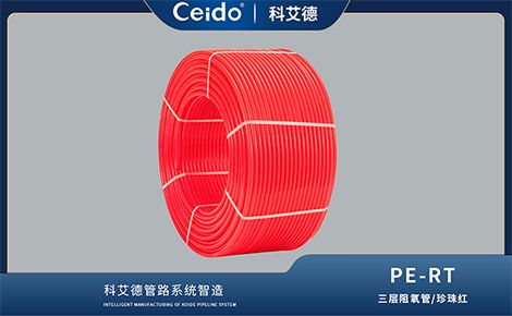Ceido 展示图