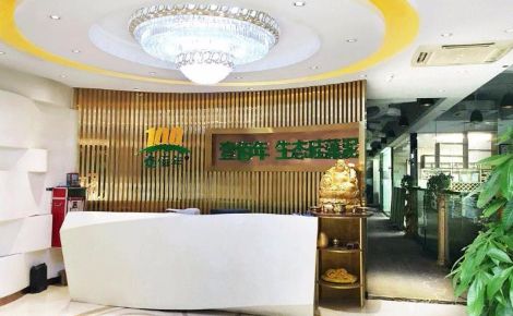 壹佰年硅藻泥 展示图