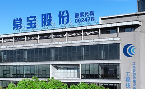 常宝CHANGBAO 展示图
