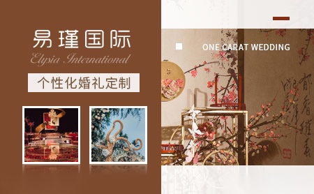 普莱德P-Lead 展示图