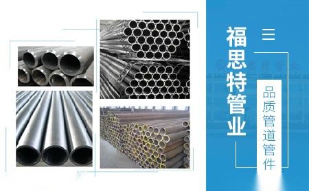 福思特 展示图