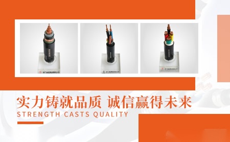 加汇门业 展示图