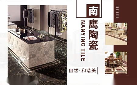 南鹰NanYing 展示图