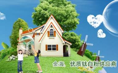 金海 展示图