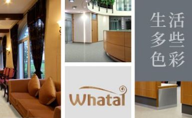 华泰Whata 展示图