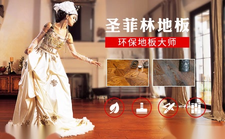 圣菲林SFL 展示图
