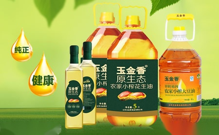WEBSTAR韦伯电梯 展示图