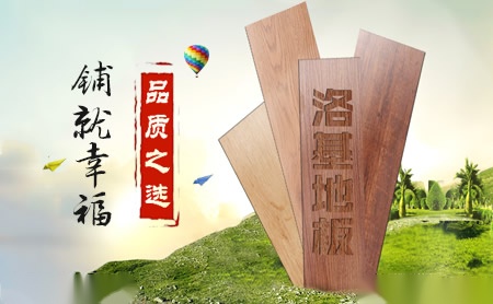 洛基LODGI 展示图