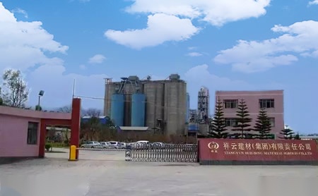 祥龙 展示图