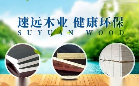 速远SUYUAN 展示图