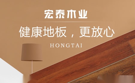 宏泰HONGTAI 展示图
