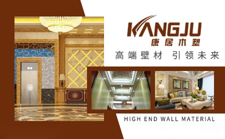 康居KANGJU 展示图