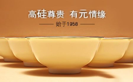 硅元SICER 展示图