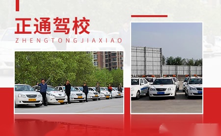 雄丰XIONGFENG 展示图