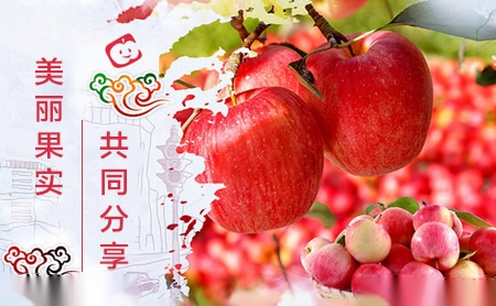 蓝帜 展示图