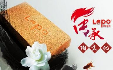 乐普LOPO 展示图