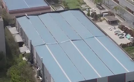 富莱尼 展示图
