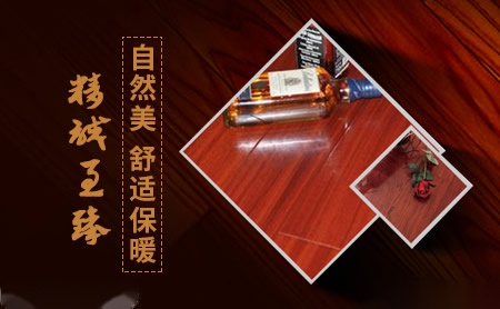 金典 展示图